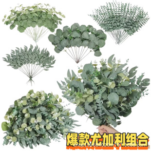 �羳����Gֲ���X�~����ֲ���ȼ����~�����~�Ӕ[���bپGֲ���l