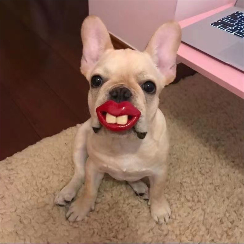 赤い唇のウサギの歯と同じスタイルの面白い犬のおしゃぶり面白いおもちゃの出っ歯ペットの犬面白いおしゃぶり|undefined