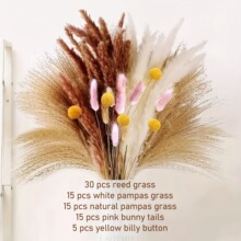������˹70pcs����˹�ɻ���β��С�JȔ�J����m�ɻ��M�Ͽ羳���u