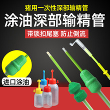 iһݔƿݔƿĸiNi˹ھT͹ƿ