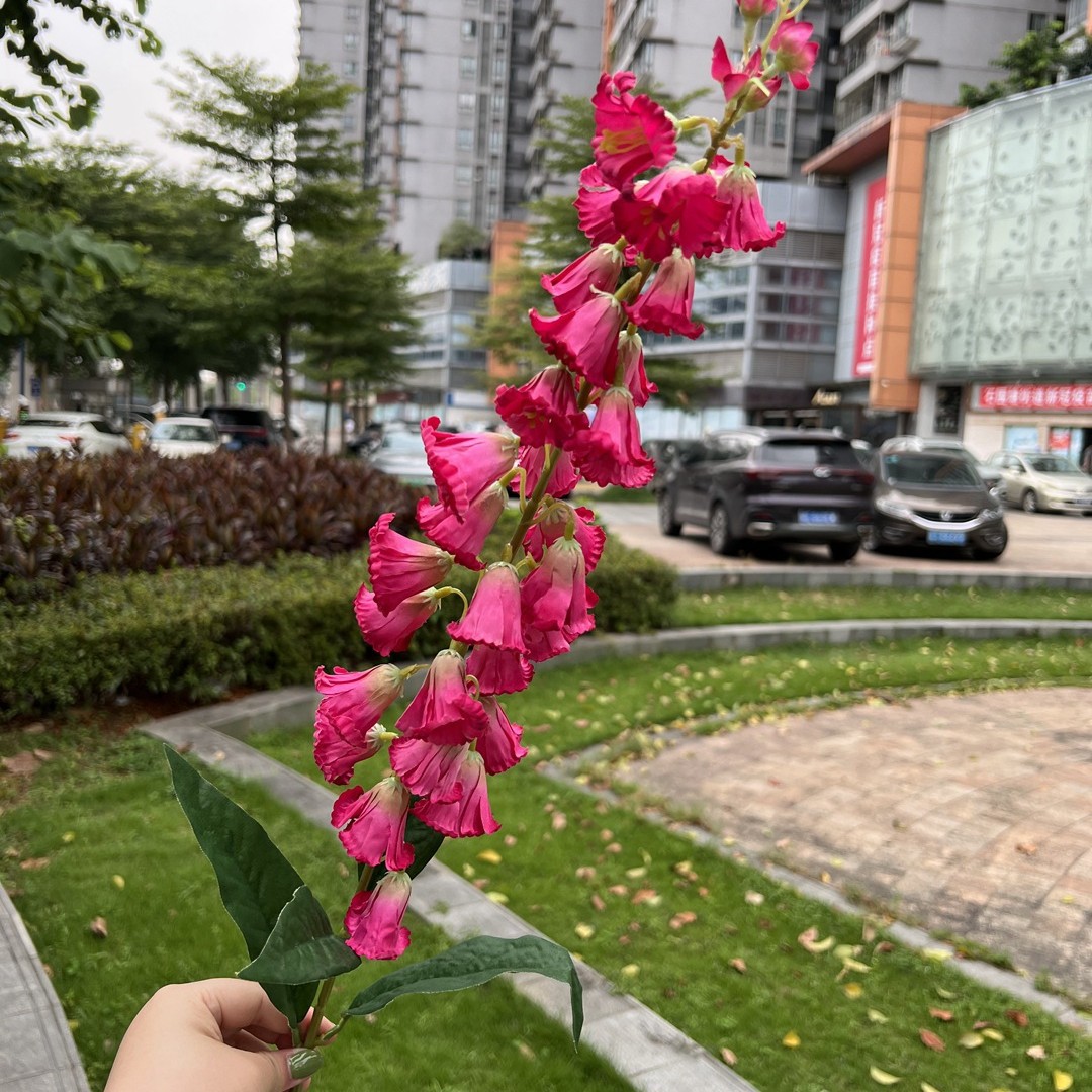 Estilo francés grandes campanas de viento Rose Red