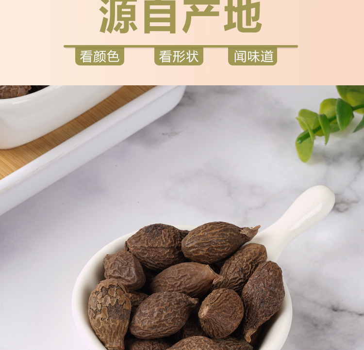 Pang Da Hai (Sterculia lychnophora) — Dried Round Fruit for Herbal Tea, 140g Jar in use