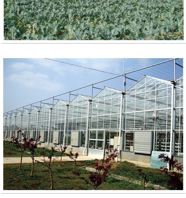 玻璃溫室_16.jpg