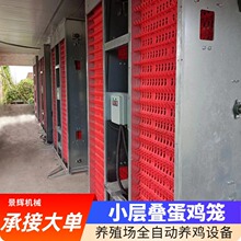 小层叠鸡笼子 设备笼具层叠式蛋鸡育雏笼 小层叠全自动蛋鸡笼厂家