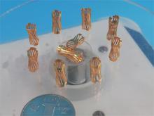 Ť��Ȧ�ɹڻɾ��ɲ�ײ��