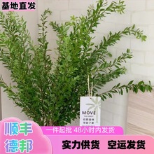 ѩҲ=~kҔ[ŻlݻòݬFѩ~