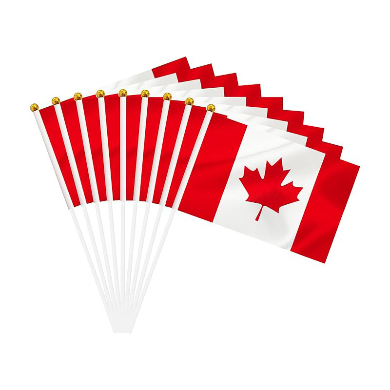 加拿大手摇旗.jpg