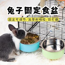 兔子固定食盆专用饭盆饲料防扒食槽食盒悬挂式侏儒兔兔子用品