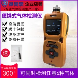 其他仪器仪表;气体检测仪;其他气体分析