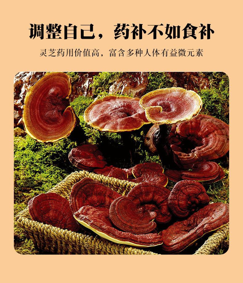 Dried Reishi Mushroom Slices Ling Zhi 100g Bagged Raw Herb for Tea and Soup specifications