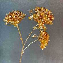 �����b���[�����~�X���y���~ճ���Pβ���b���c���滨�zӰ��