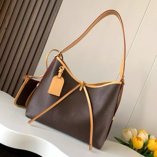 ��logo оƬ��L carryall V �P���W ��Ƥ�μ�Ů�� ���ذ� ُ���