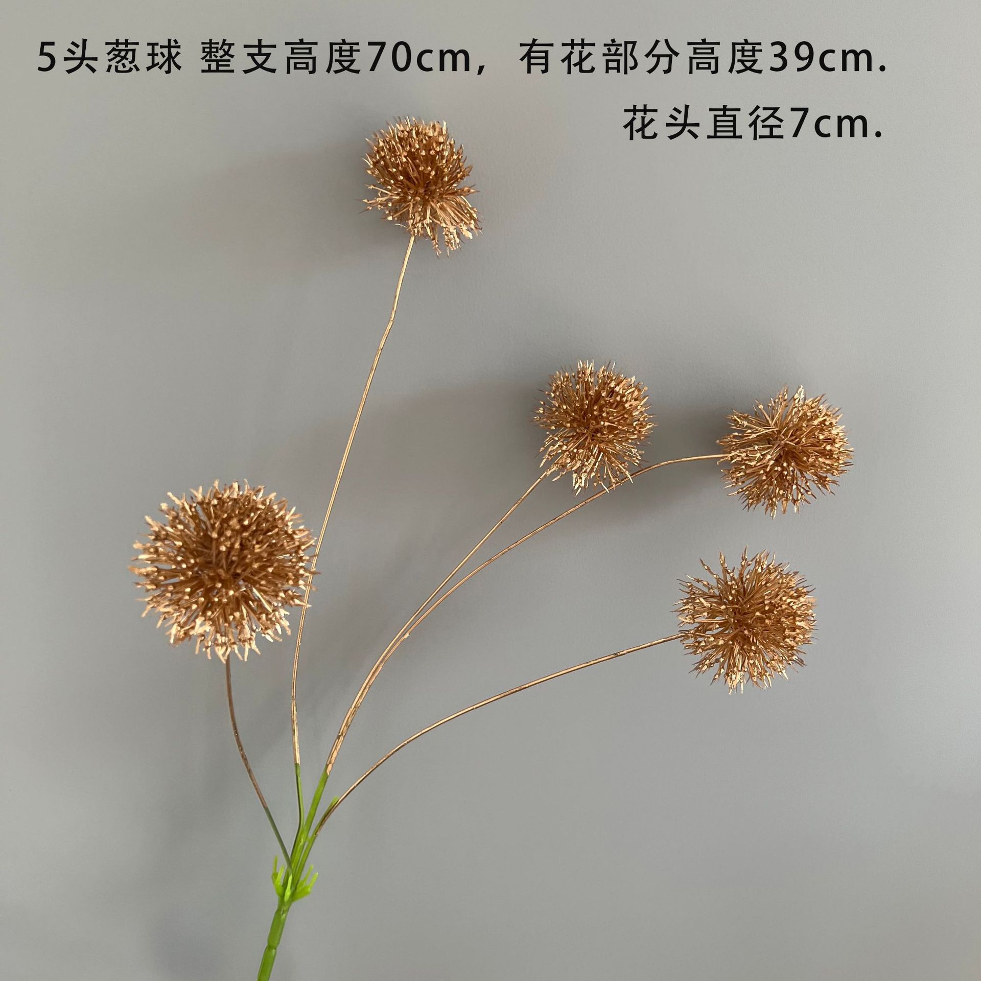 5 양파