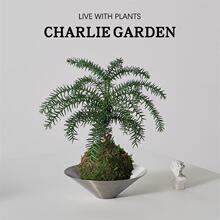 ����ɼ̦�\�򺆼s����СƷ�辰�������˶Y���k����΢���^�����՚�