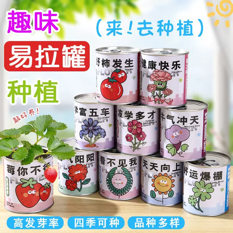 易拉罐植物盲盒定制儿童小盆栽迷你桌面绿植种子植物学生礼品礼物