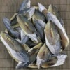 【手切鹹鲅魚塊】馬鲛魚鹹鲅魚塊鲅魚段鹹魚幹貨半幹品批發海産品