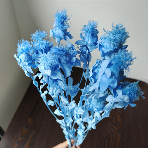 Eternal life orange pineapple floral materials DIY home decoration floral arrangement window display B&B real dried flowers art decoration