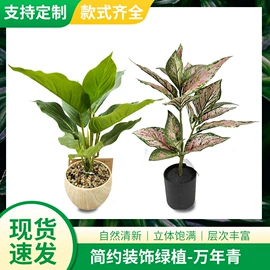 仿真绿植;仿真盆栽;仿真花