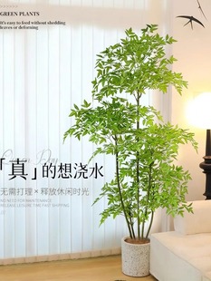 �Gֲ�����������p���҃ȿ͏d����b����ͷ���ֲ��٘�