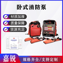 ��ʽ��Я������˫��ˮ�ø�ѹ��ˮ��TW21-B-4DS����ʽɭ�����