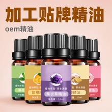 ���͏S��ֲ��η����ͷ���޹�²ݲ������Ժδϡጼ�ֲ��η�����