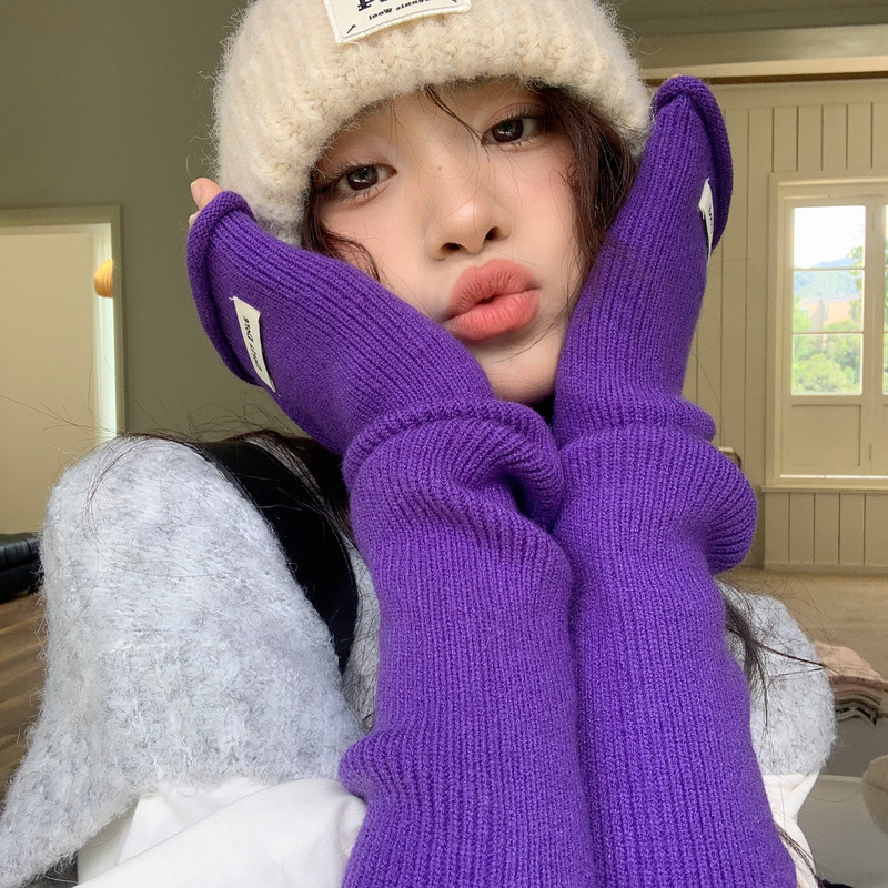 ニット毛糸保温手袋韓国版ins風延長腕秋冬百合騎乗防風防寒手女|undefined