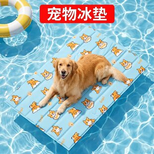 ���쿨ͨ������|؈�乷���������z���|��ץҧ�����������|���l