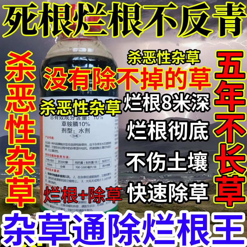 死根烂根不反青精草铵膦铵盐果园烂根小飞蓬耕地强效除草剂烂根王