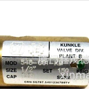 Kunkle 6010FFM01-KM ����ጷŰ�ȫ�y �S�~���| 1-1/4Ӣ�� NPT