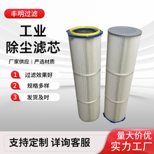 噴塗噴塑用除塵濾芯噴漆車間除塵器粉末回收濾筒六耳快拆除塵濾芯