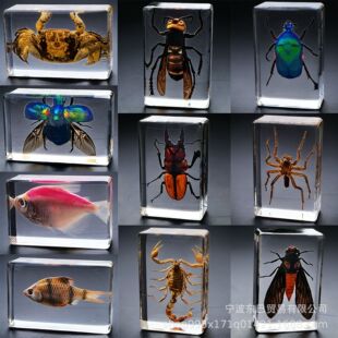 ���R�d �羳�¿��挍���x�˱� ͸����֬֩����׽���ϐ�Ӻ�������