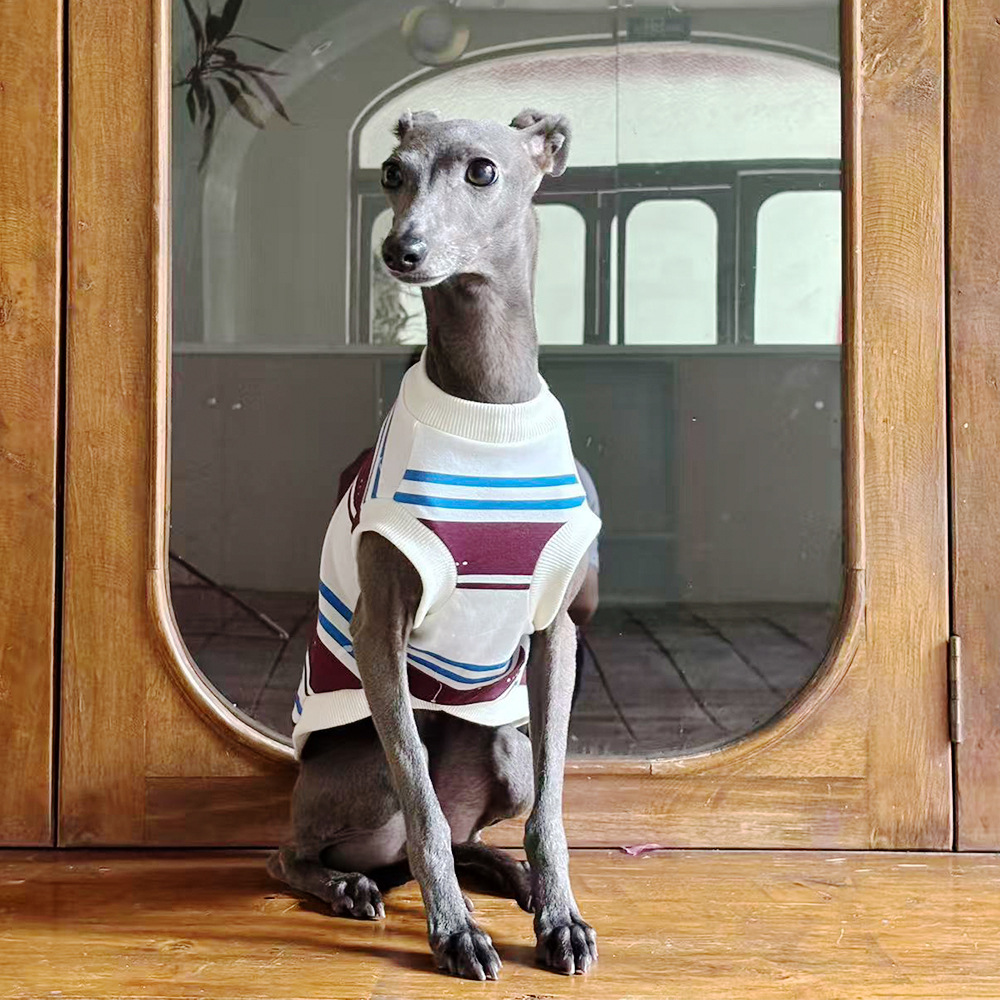 New Cross-Border Dog Clothes for Summer, Thin Style, Suitable for Amazon and Aliexpress, Striped Design for Whippets and Greyhounds