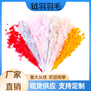 ��ɫ��ë��������F�z��30cm��ë��̨�������������ػ��F؛���l