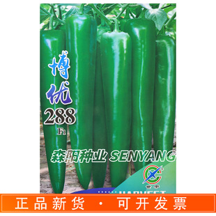 �����288�����N�����������ţ�ǽ�����L��Ƥ�������ζ�е�