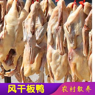 �S�����l���ծa�����D���ۿh���������L�����r��ɢ�B������ֻ