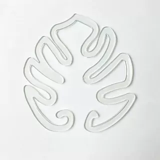 龟背竹支撑杆园艺花卉防倒伏春雨支架固定器绿植物水培枝干花盆架
