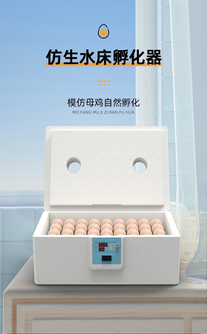 8a4e4d09-4b18-4e90-bc28-596d35cb1e64.jpe