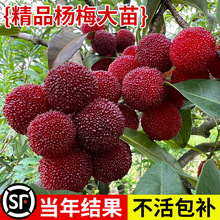 ɾӖ|÷ϱNֲ޽ӹش|mY