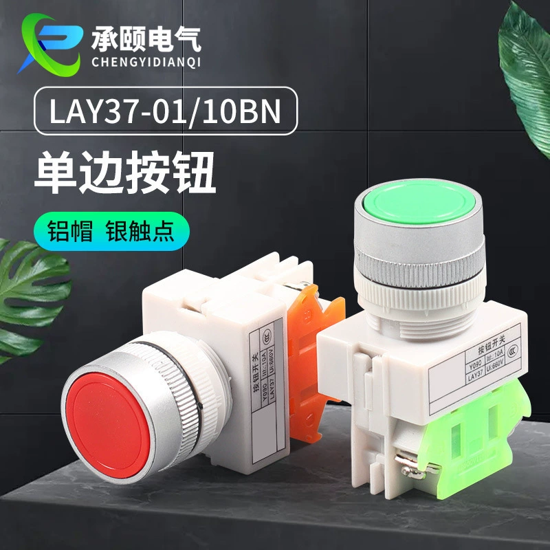 Кнопка одна с плоской головкой переключателя кнопки самосброса заводской поставки серии LAY37 открывает один закрытый Серебряный контактный переключатель