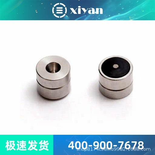 赛默飞衬管密封圈，用于Trace 1300 系列SSL 进样口，5个/包离子
