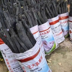 青岡木炭青鋼炭皮むき青棒炭菊炭野炊バーベキュー炭キャンプ炭屋外バーベキューコンロ用