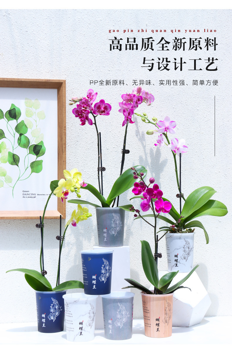 B03文创蝴蝶兰花盆系列_11.jpg