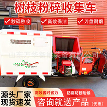 ��֦�����ռ�܇ С����֦�C�G������܇ �Ƅ����Ϙ�֦�����ռ�܇