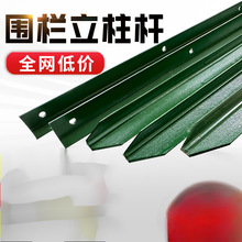 �F�z�W���ڷ��P���������U��Y�������F�Ӻ���^���Bֳ�W�����