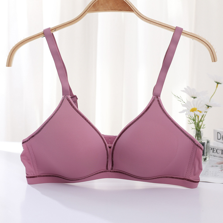 Polvo de pasta de frijol