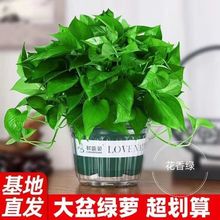 ~G}҃ȿ͏dȩ՚ֲGֲkҾG}l