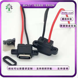 type-c母座充电口带线2P焊线母座螺丝孔数码typec2p立式带耳