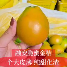 广西融安脆蜜金桔金柑爆甜多汁皮薄肉厚满满维C孕妈应季新鲜水果