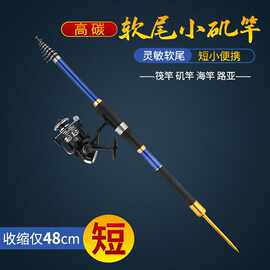 矶钓竿筏竿玻璃钢小矶竿软稍小阀杆海钓专用钓鱼竿超硬调碳素
