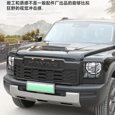 Headlight and Taillight Covers, Light frame